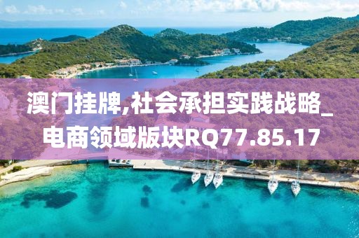 澳门挂牌,社会承担实践战略_电商领域版块RQ77.85.17