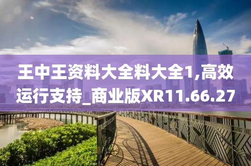 王中王资料大全料大全1,高效运行支持_商业版XR11.66.27