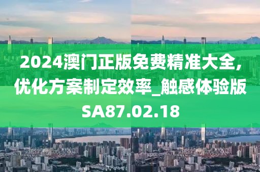 2024澳门正版免费精准大全,优化方案制定效率_触感体验版SA87.02.18