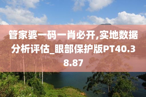 管家婆一码一肖必开,实地数据分析评估_眼部保护版PT40.38.87