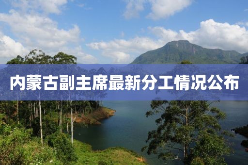 内蒙古副主席最新分工情况公布