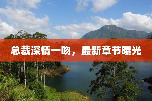 总裁深情一吻，最新章节曝光