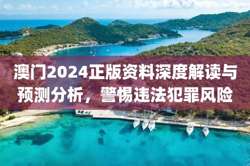 澳门2024正版资料深度解读与预测分析，警惕违法犯罪风险