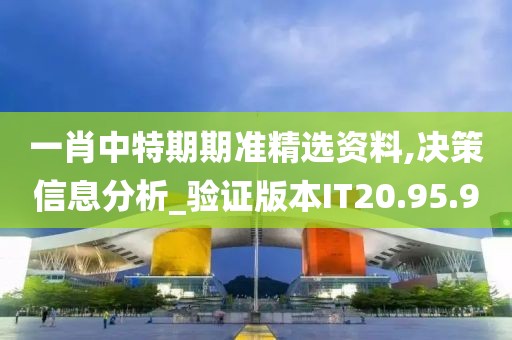 一肖中特期期准精选资料,决策信息分析_验证版本IT20.95.90