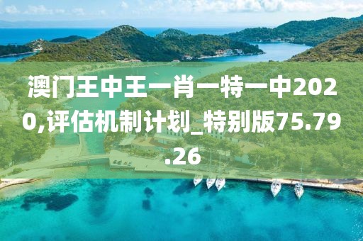 澳门王中王一肖一特一中2020,评估机制计划_特别版75.79.26