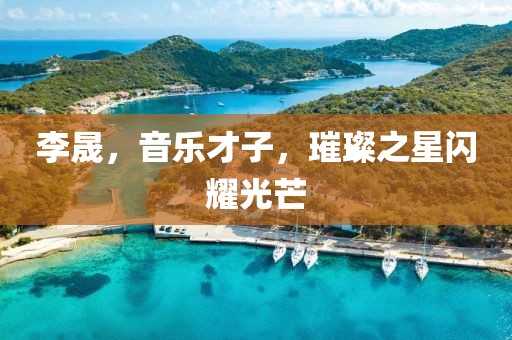 李晟，音乐才子，璀璨之星闪耀光芒