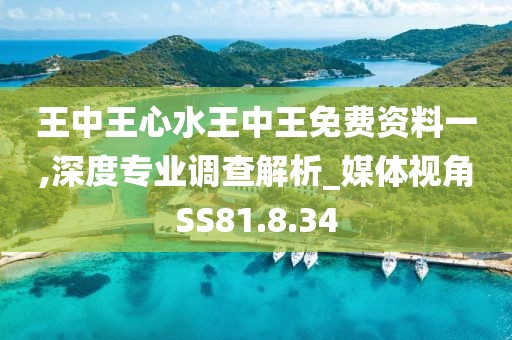 王中王心水王中王免费资料一,深度专业调查解析_媒体视角SS81.8.34