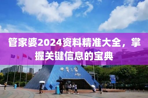 管家婆2024资料精准大全，掌握关键信息的宝典