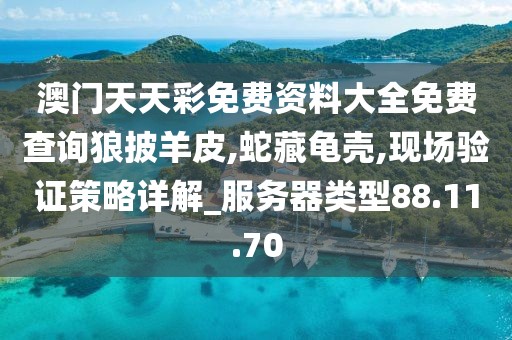 澳门天天彩免费资料大全免费查询狼披羊皮,蛇藏龟壳,现场验证策略详解_服务器类型88.11.70