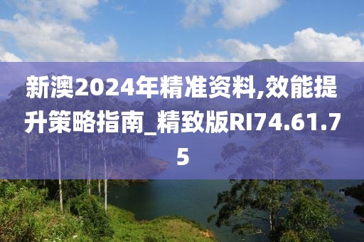 新澳2024年精准资料,效能提升策略指南_精致版RI74.61.75