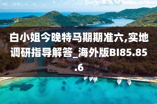白小姐今晚特马期期准六,实地调研指导解答_海外版BI85.85.6
