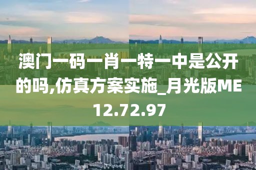 澳门一码一肖一特一中是公开的吗,仿真方案实施_月光版ME12.72.97