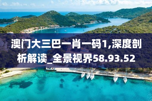 澳门大三巴一肖一码1,深度剖析解读_全景视界58.93.52