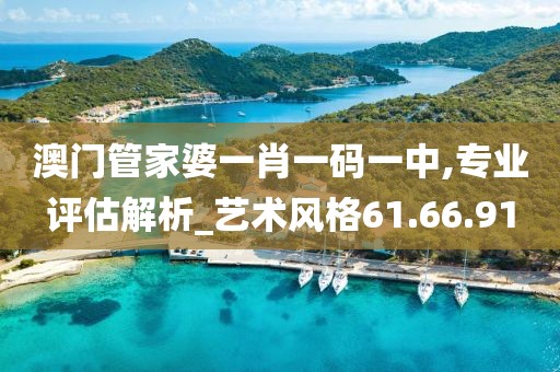 澳门管家婆一肖一码一中,专业评估解析_艺术风格61.66.91