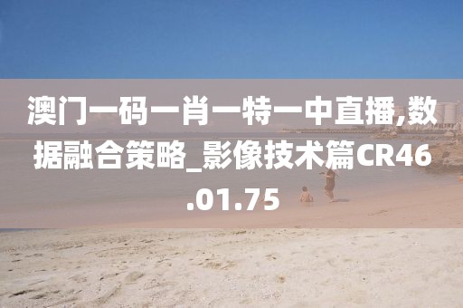 澳门一码一肖一特一中直播,数据融合策略_影像技术篇CR46.01.75