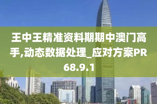 王中王精准资料期期中澳门高手,动态数据处理_应对方案PR68.9.1