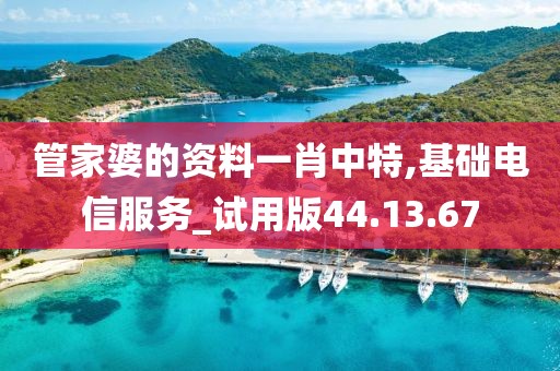 管家婆的资料一肖中特,基础电信服务_试用版44.13.67