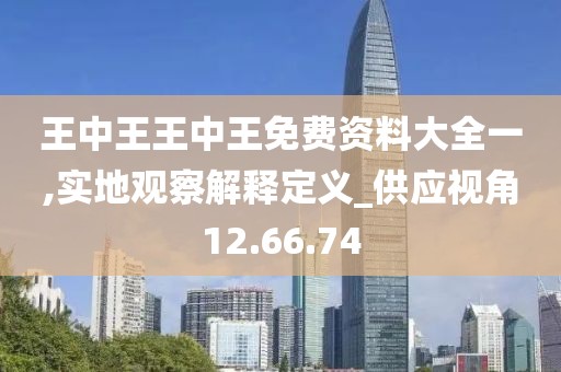 王中王王中王免费资料大全一,实地观察解释定义_供应视角12.66.74