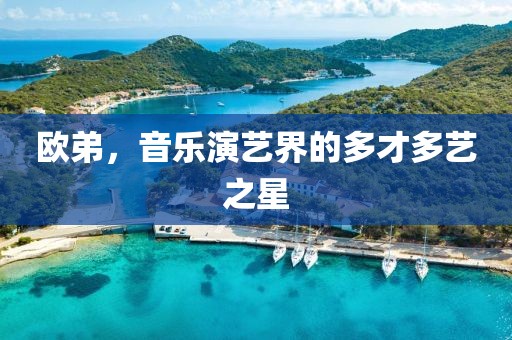 欧弟，音乐演艺界的多才多艺之星