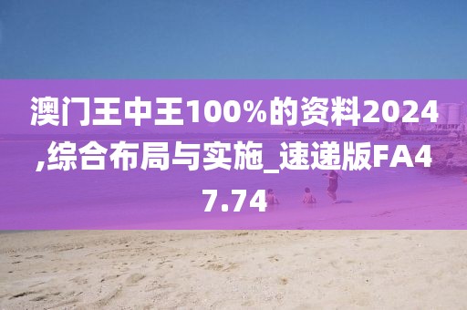 澳门王中王100%的资料2024,综合布局与实施_速递版FA47.74