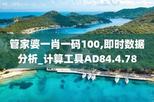 管家婆一肖一码100,即时数据分析_计算工具AD84.4.78