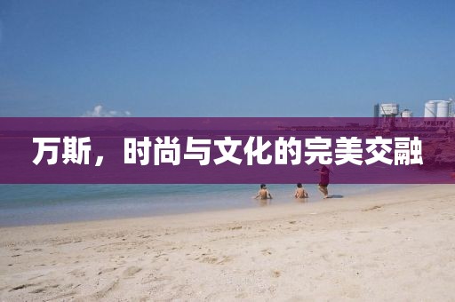万斯，时尚与文化的完美交融