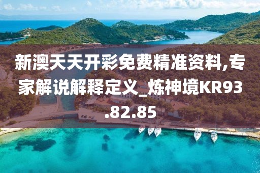 新澳天天开彩免费精准资料,专家解说解释定义_炼神境KR93.82.85