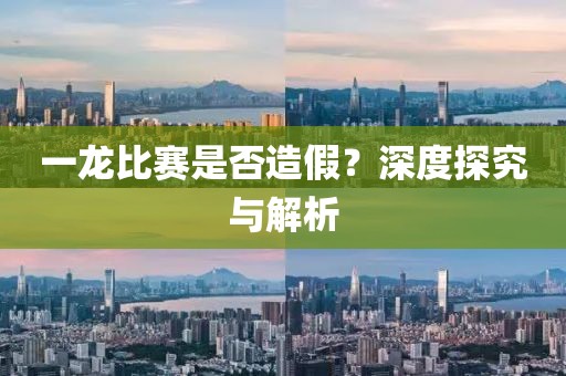 一龙比赛是否造假？深度探究与解析