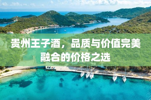贵州王子酒，品质与价值完美融合的价格之选