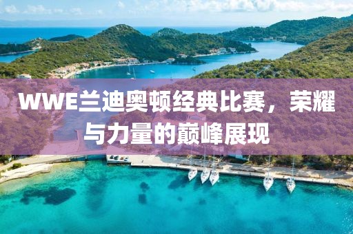 WWE兰迪奥顿经典比赛，荣耀与力量的巅峰展现