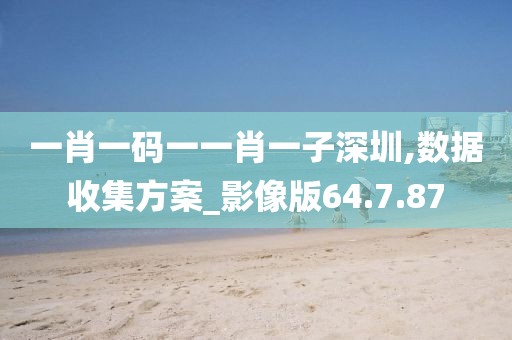 一肖一码一一肖一子深圳,数据收集方案_影像版64.7.87