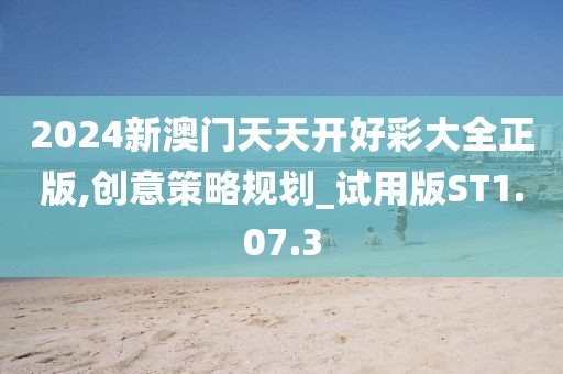 2024新澳门天天开好彩大全正版,创意策略规划_试用版ST1.07.3