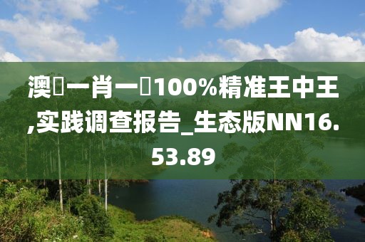 澳門一肖一碼100%精准王中王,实践调查报告_生态版NN16.53.89