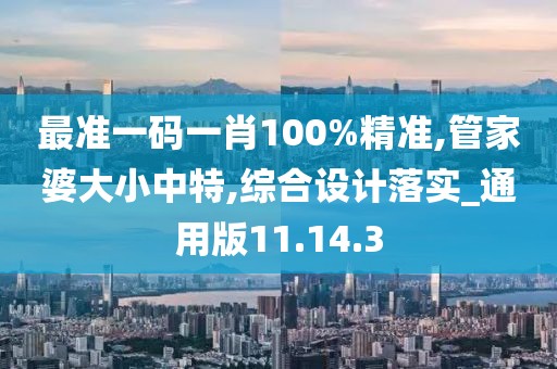 最准一码一肖100%精准,管家婆大小中特,综合设计落实_通用版11.14.3