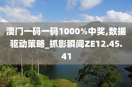 澳门一码一码1000%中奖,数据驱动策略_抓影瞬间ZE12.45.41