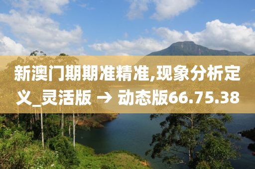 新澳门期期准精准,现象分析定义_灵活版 → 动态版66.75.38