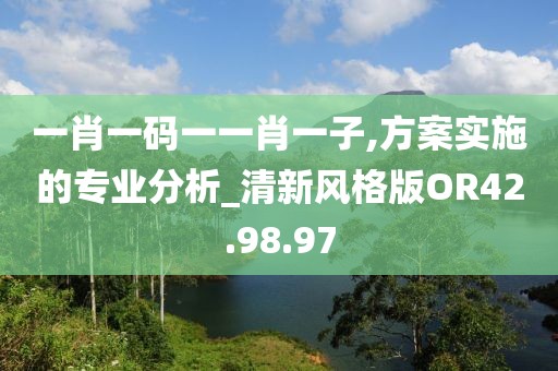 一肖一码一一肖一子,方案实施的专业分析_清新风格版OR42.98.97