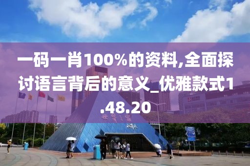 一码一肖100%的资料,全面探讨语言背后的意义_优雅款式1.48.20