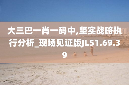 大三巴一肖一码中,坚实战略执行分析_现场见证版JL51.69.39