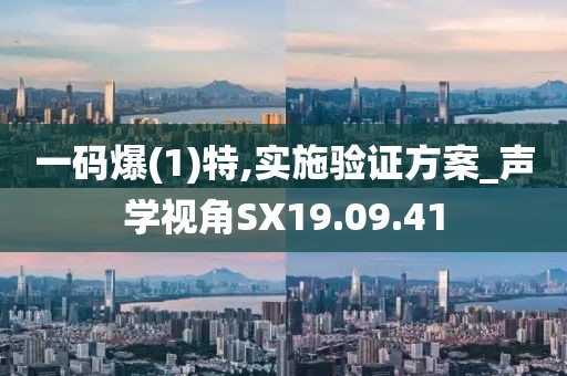 一码爆(1)特,实施验证方案_声学视角SX19.09.41