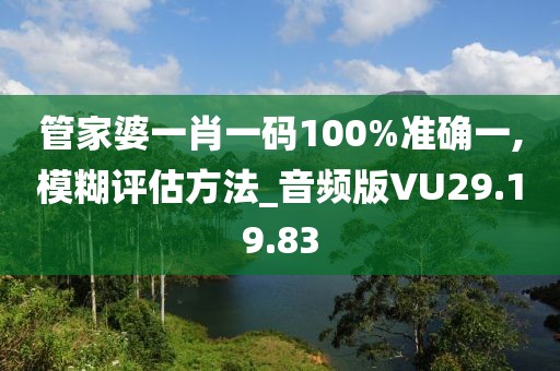 管家婆一肖一码100%准确一,模糊评估方法_音频版VU29.19.83