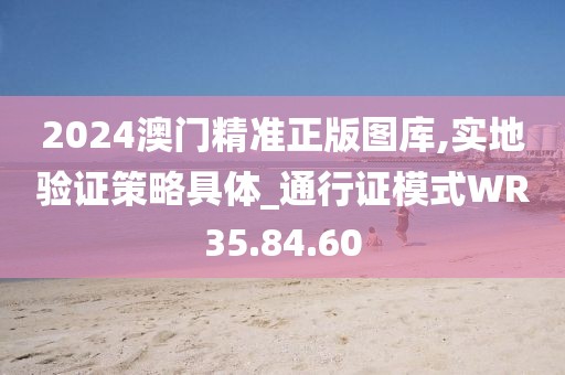 2024澳门精准正版图库,实地验证策略具体_通行证模式WR35.84.60
