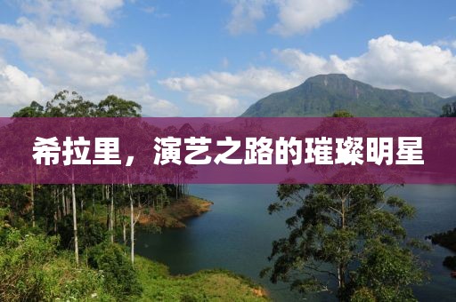 希拉里，演艺之路的璀璨明星