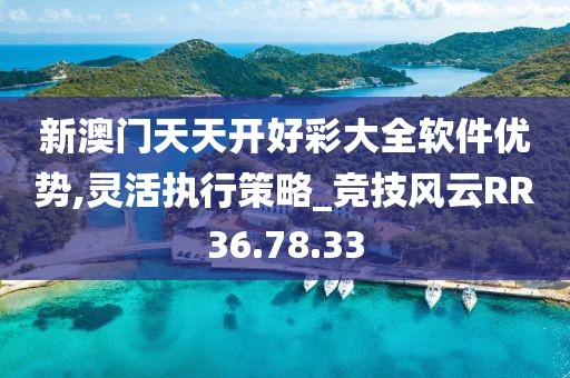 新澳门天天开好彩大全软件优势,灵活执行策略_竞技风云RR36.78.33