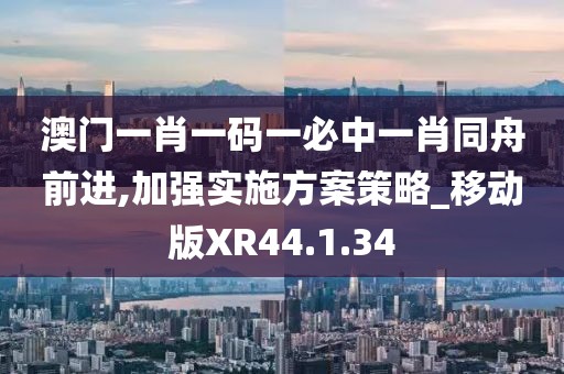 澳门一肖一码一必中一肖同舟前进,加强实施方案策略_移动版XR44.1.34