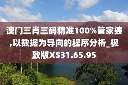 澳门三肖三码精准100%管家婆,以数据为导向的程序分析_极致版XS31.65.95