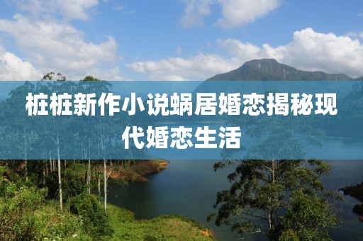 桩桩新作小说蜗居婚恋揭秘现代婚恋生活