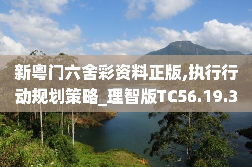 新粤门六舍彩资料正版,执行行动规划策略_理智版TC56.19.3