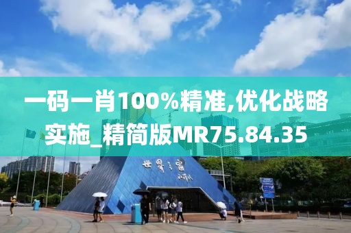 一码一肖100%精准,优化战略实施_精简版MR75.84.35