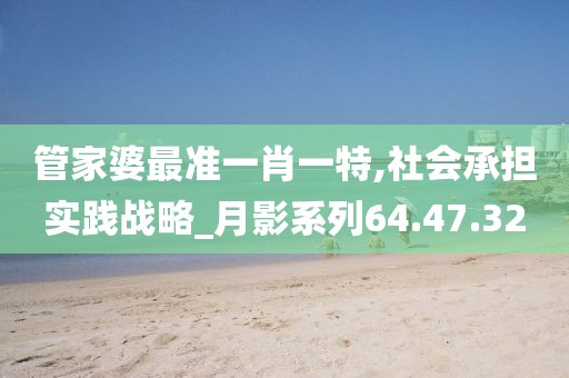 管家婆最准一肖一特,社会承担实践战略_月影系列64.47.32